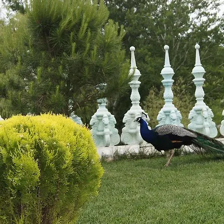 созополи хилс симеонов апартментс * Созопол