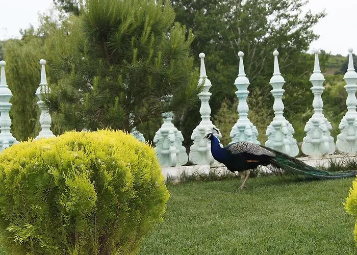 Sozopoli Hills Simeonov * 索佐波尔